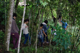 responsiveresearch.org